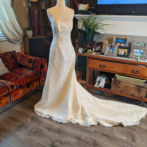 Pronovias Albeniz Tirso Wedding dress - Picture 5 of 15